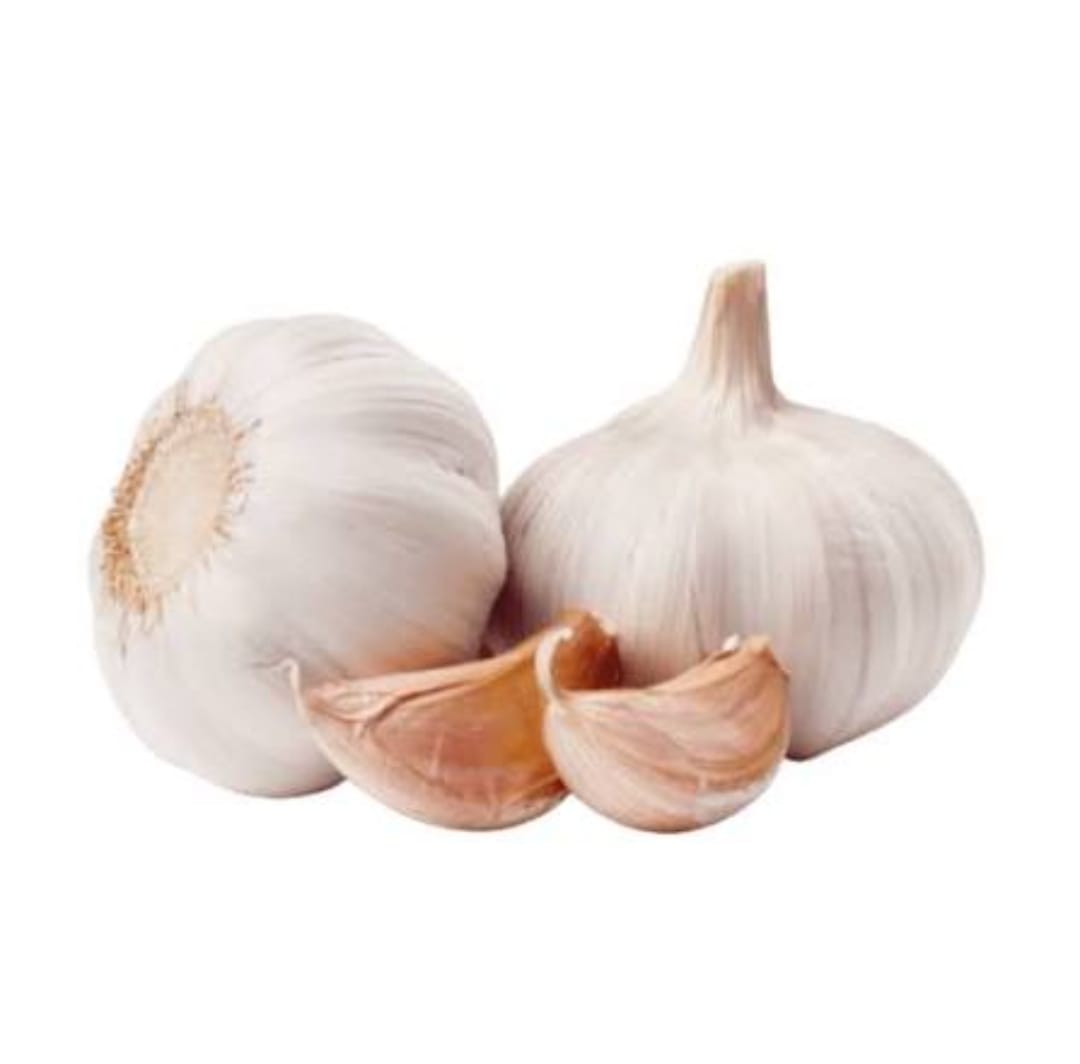Garlic