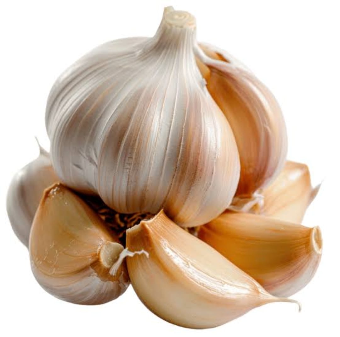Garlic
