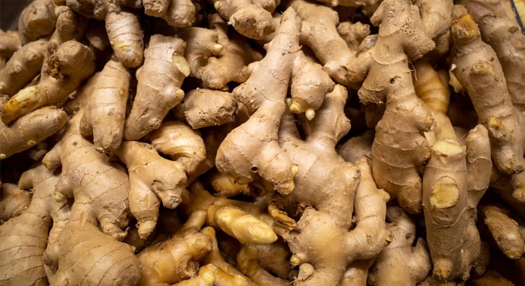 Ginger