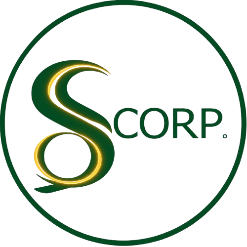 DS Corporation Logo