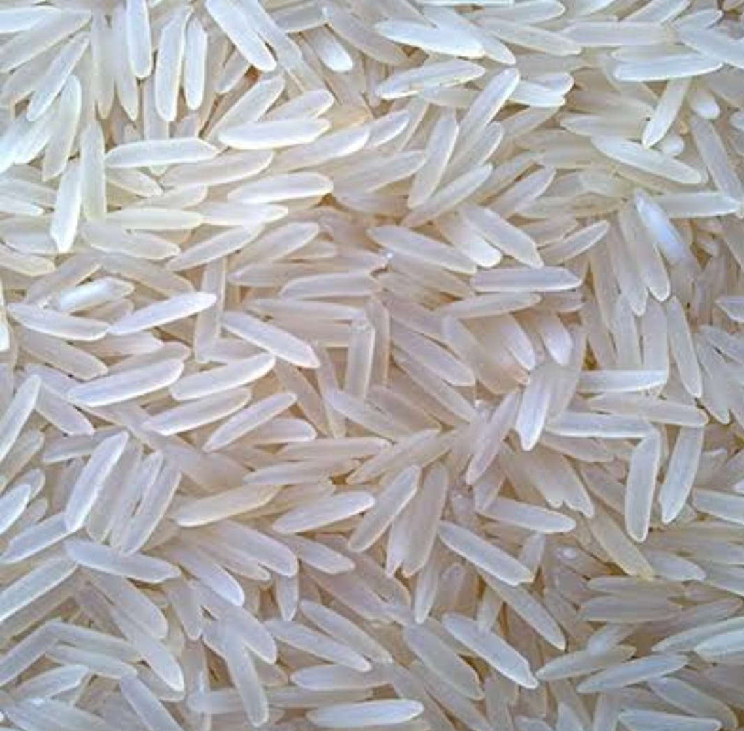 Rice